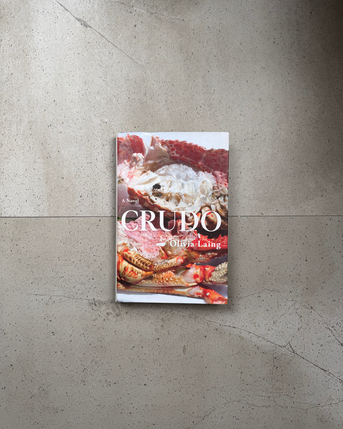 Crudo - Olivia Laing