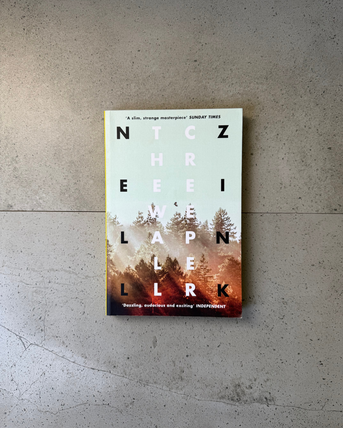 The Wallcreeper - Nell Zink