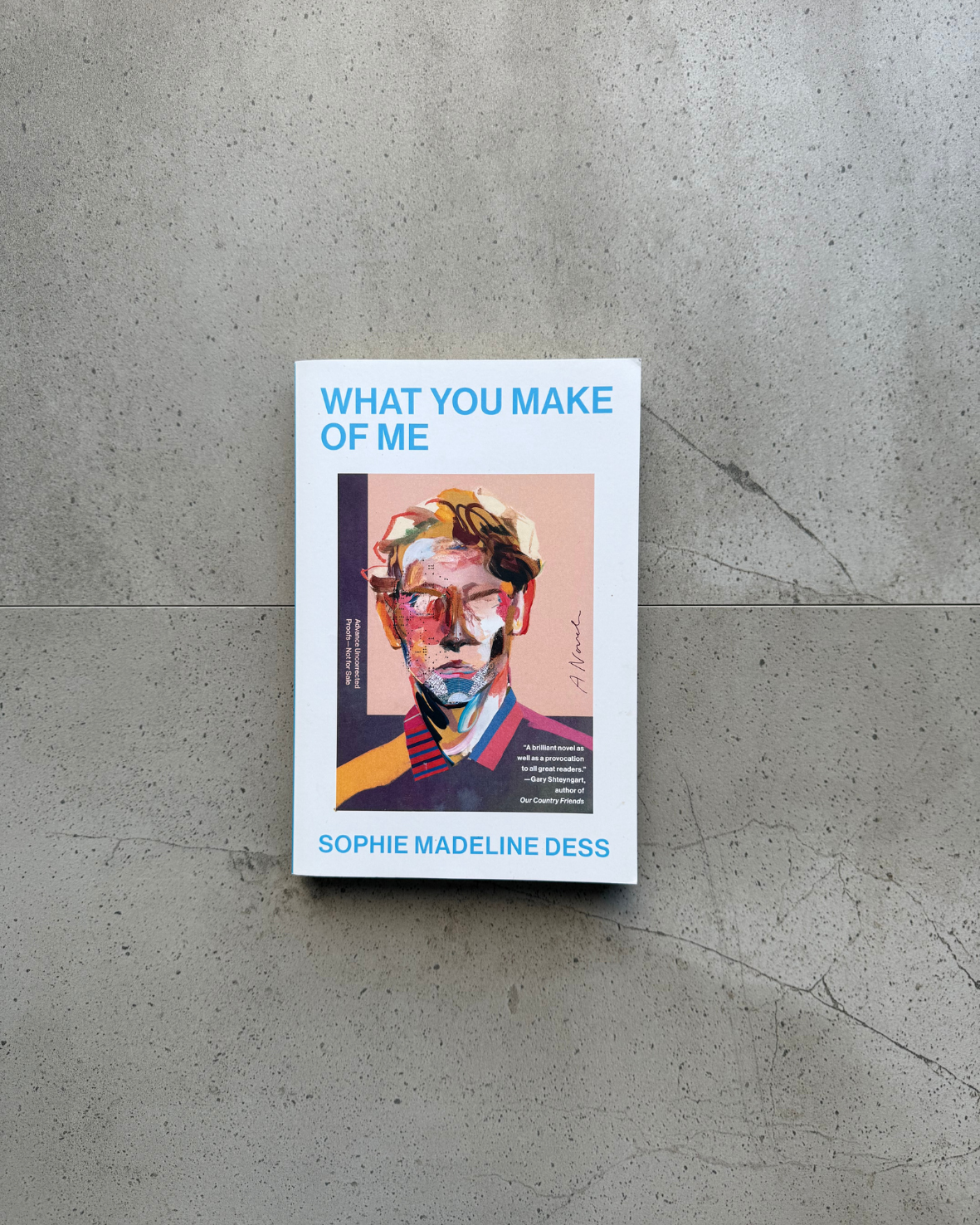 What You Make Of Me - Sophie Madeline Dess