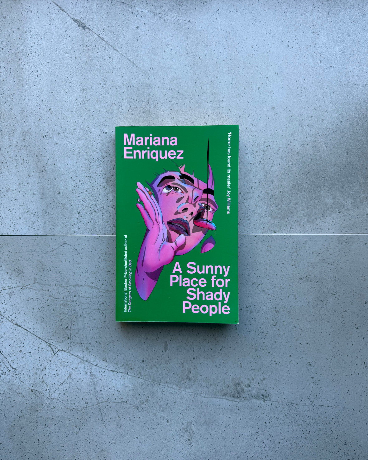A Sunny Place For Shady People - Mariana Enriquez