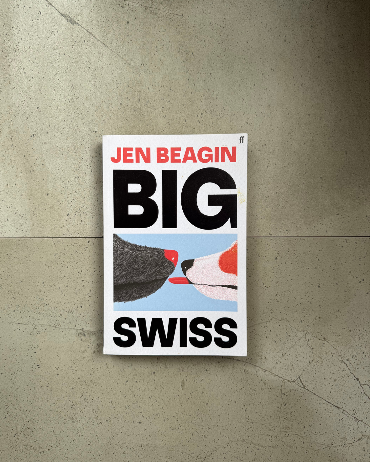 Big Swiss - Jen Beagin