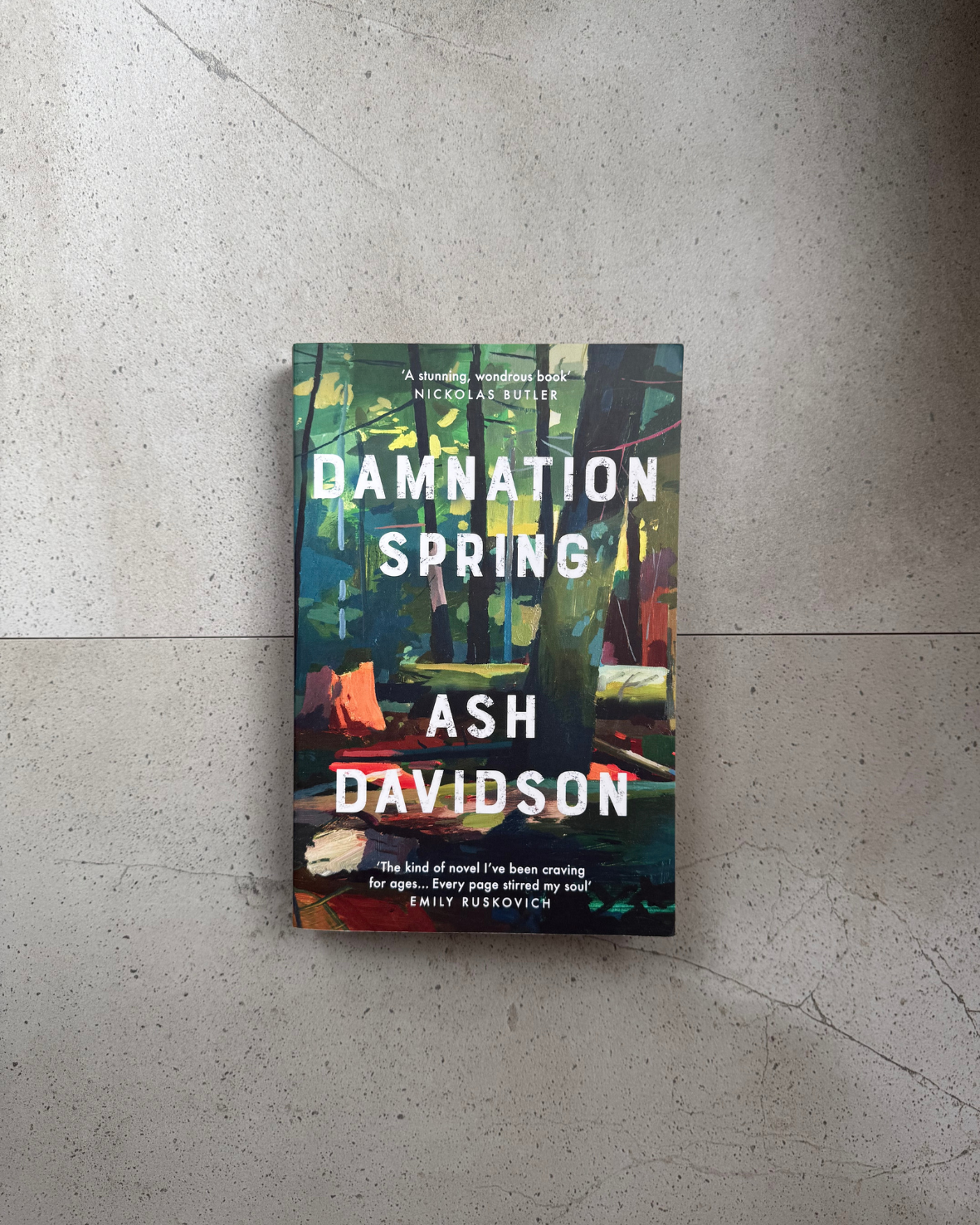 Damnation Spring - Ash Davidson