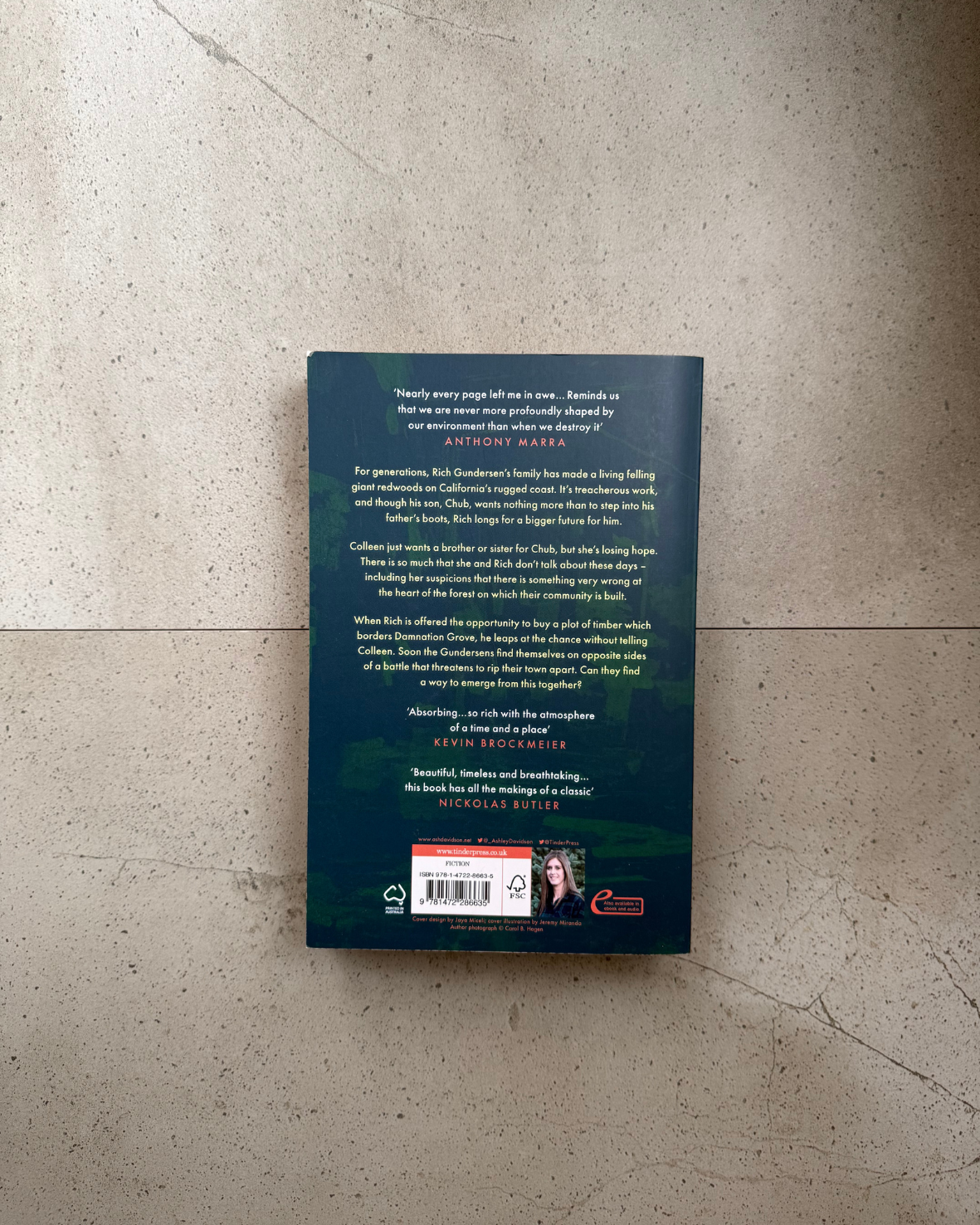 Damnation Spring - Ash Davidson