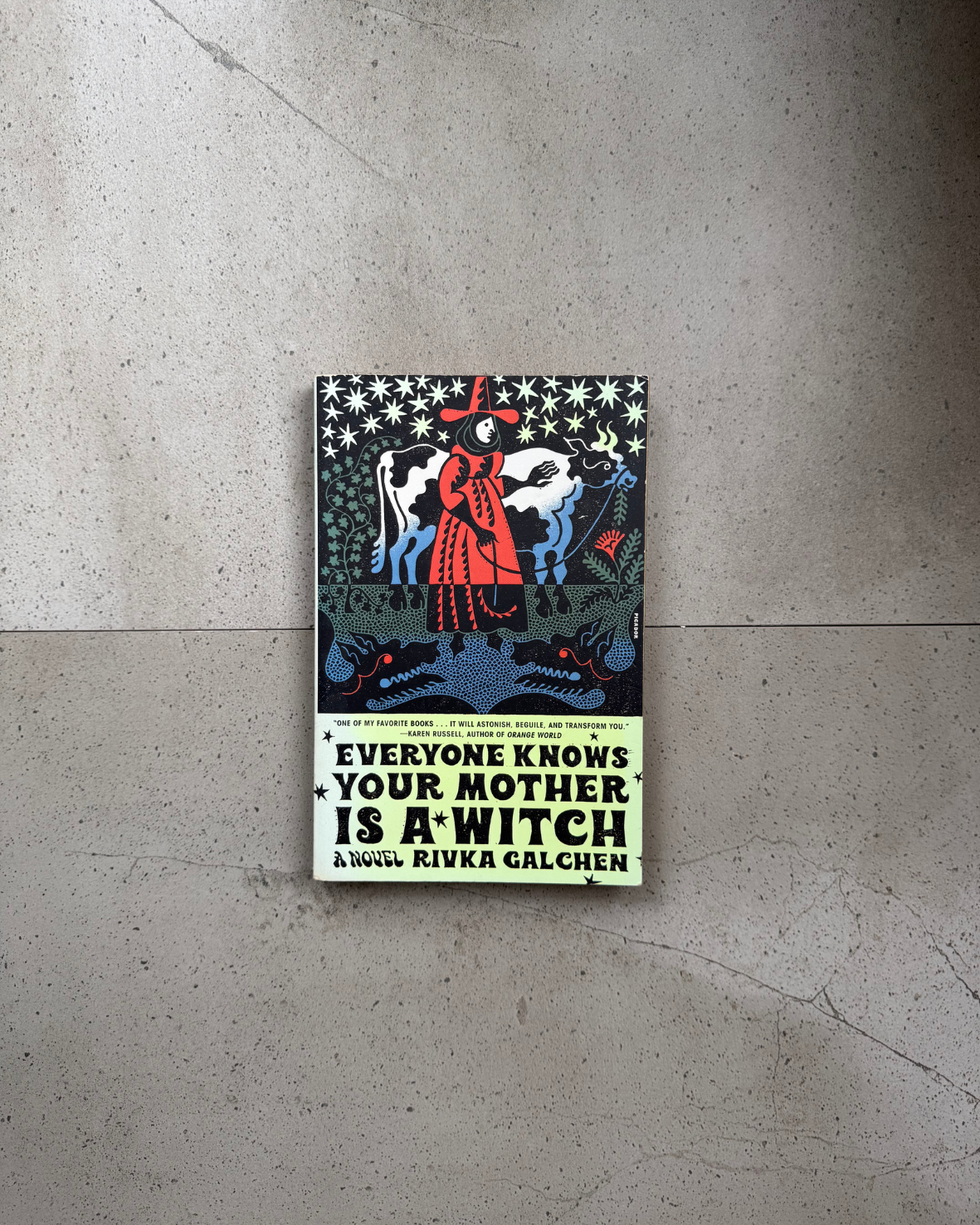 Everyone Knows Your Mother Is A Witch - Rivka Galchen