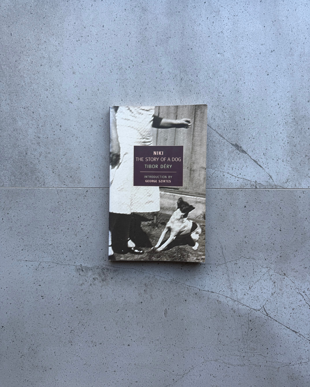 Niki: The Story of a Dog - Tibor Dery