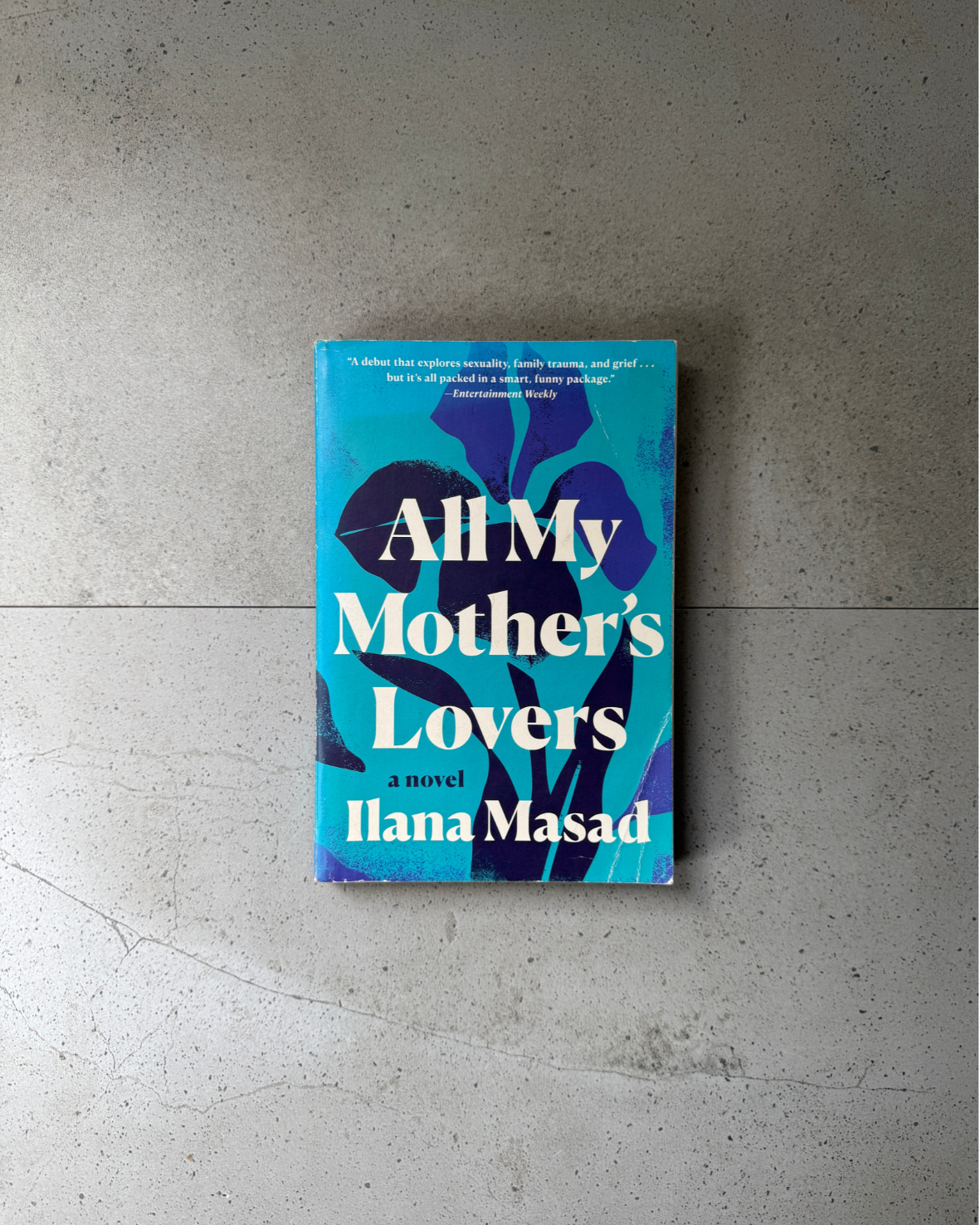 All My Mother's Lovers - Ilana Masad