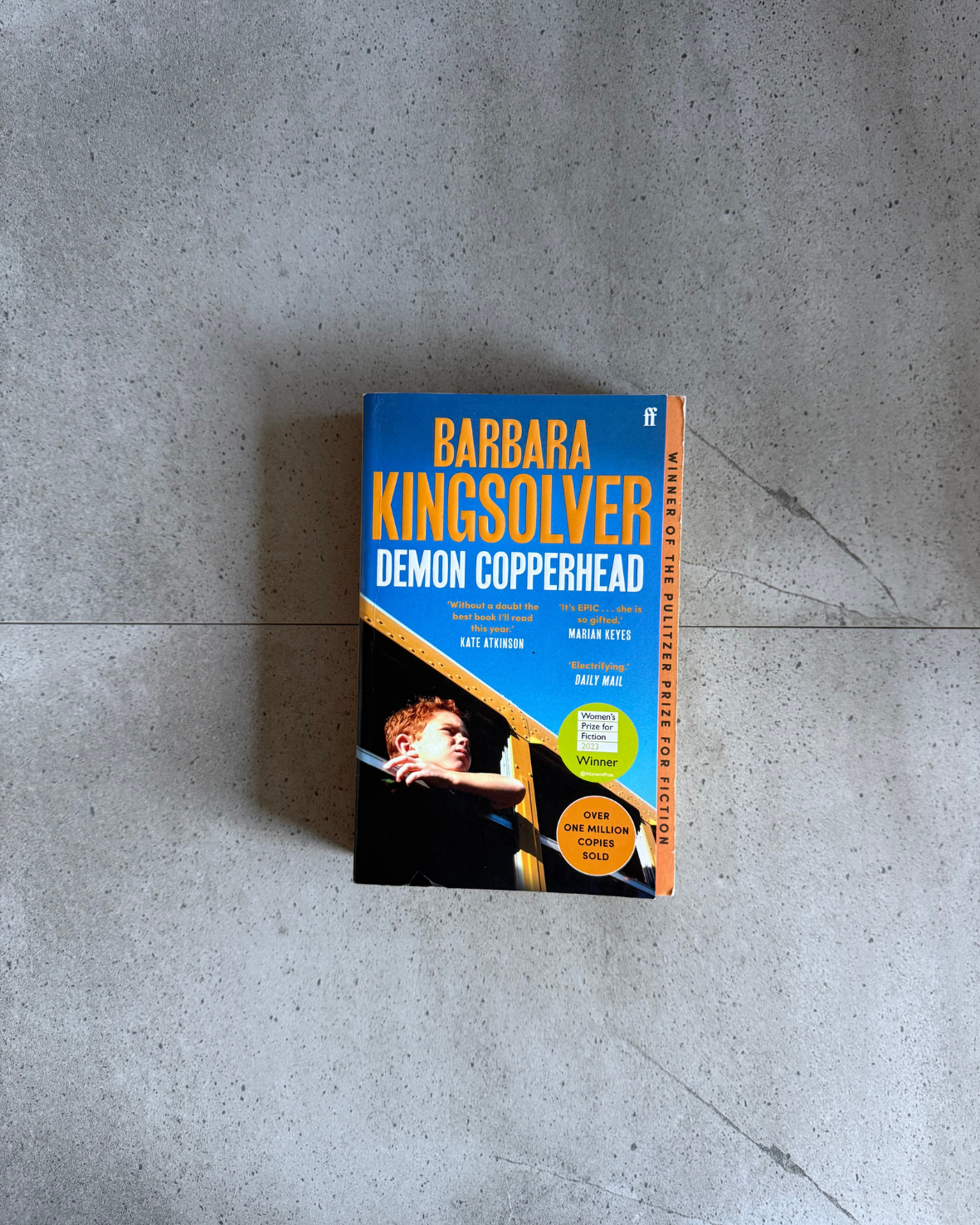 Demon Copperhead - Barbara Kingsolver