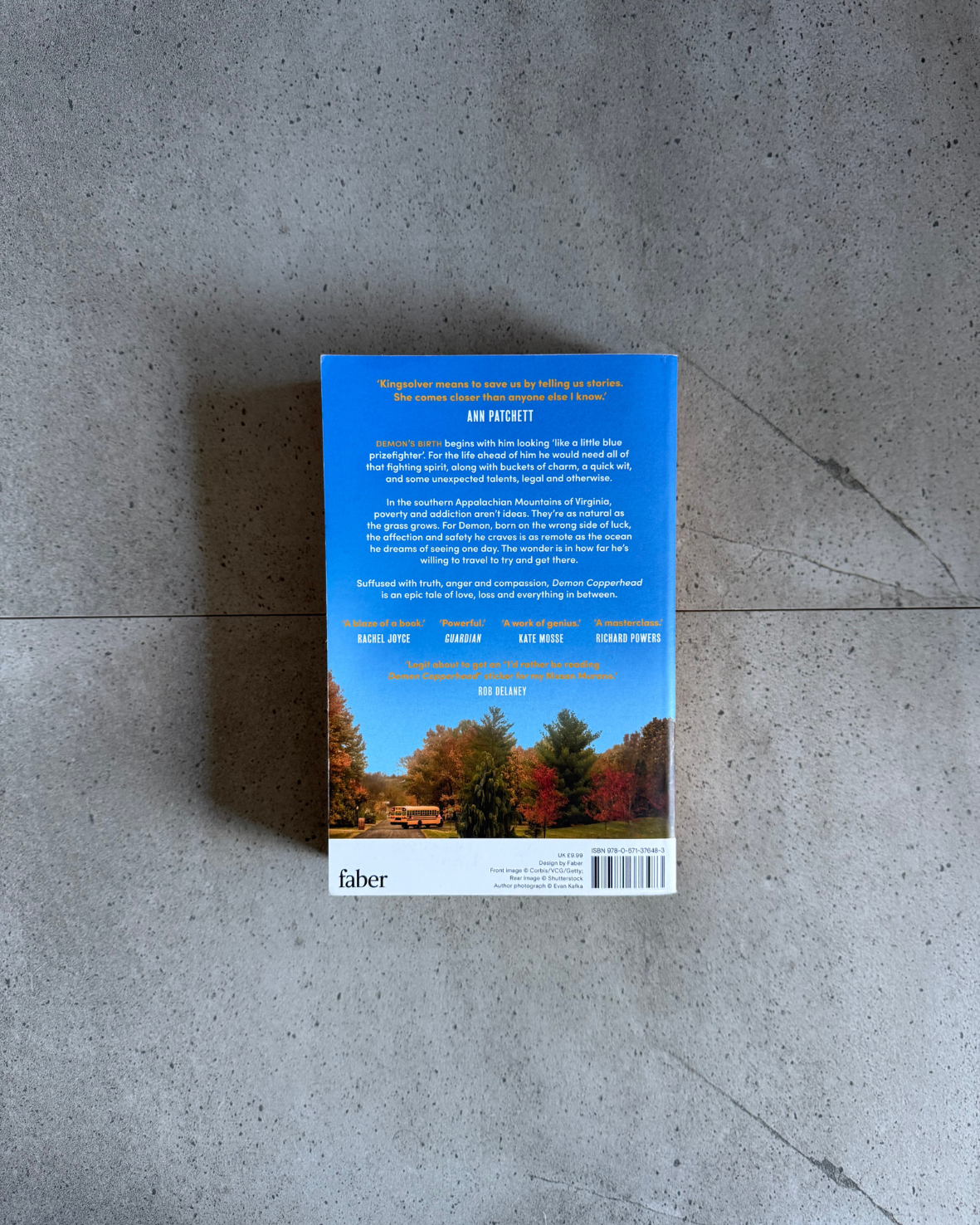 Demon Copperhead - Barbara Kingsolver