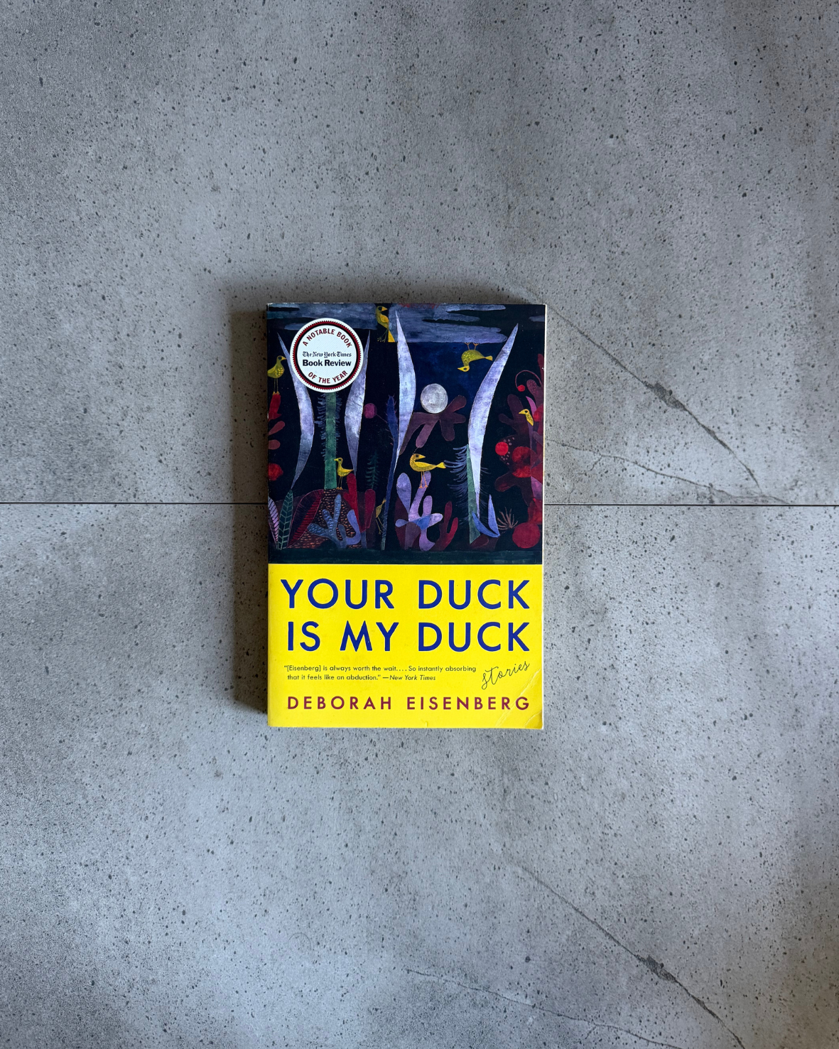 Your Duck is My Duck - Deborah Eisenberg