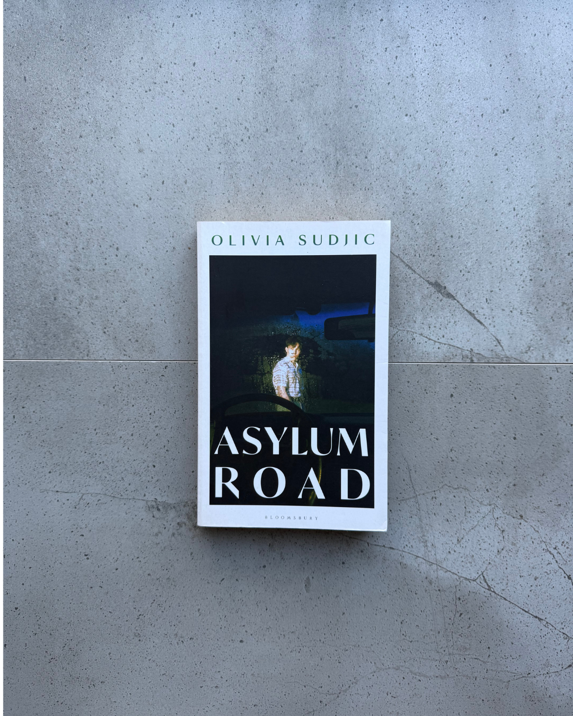 Asylum Road - Olivia Sudjic