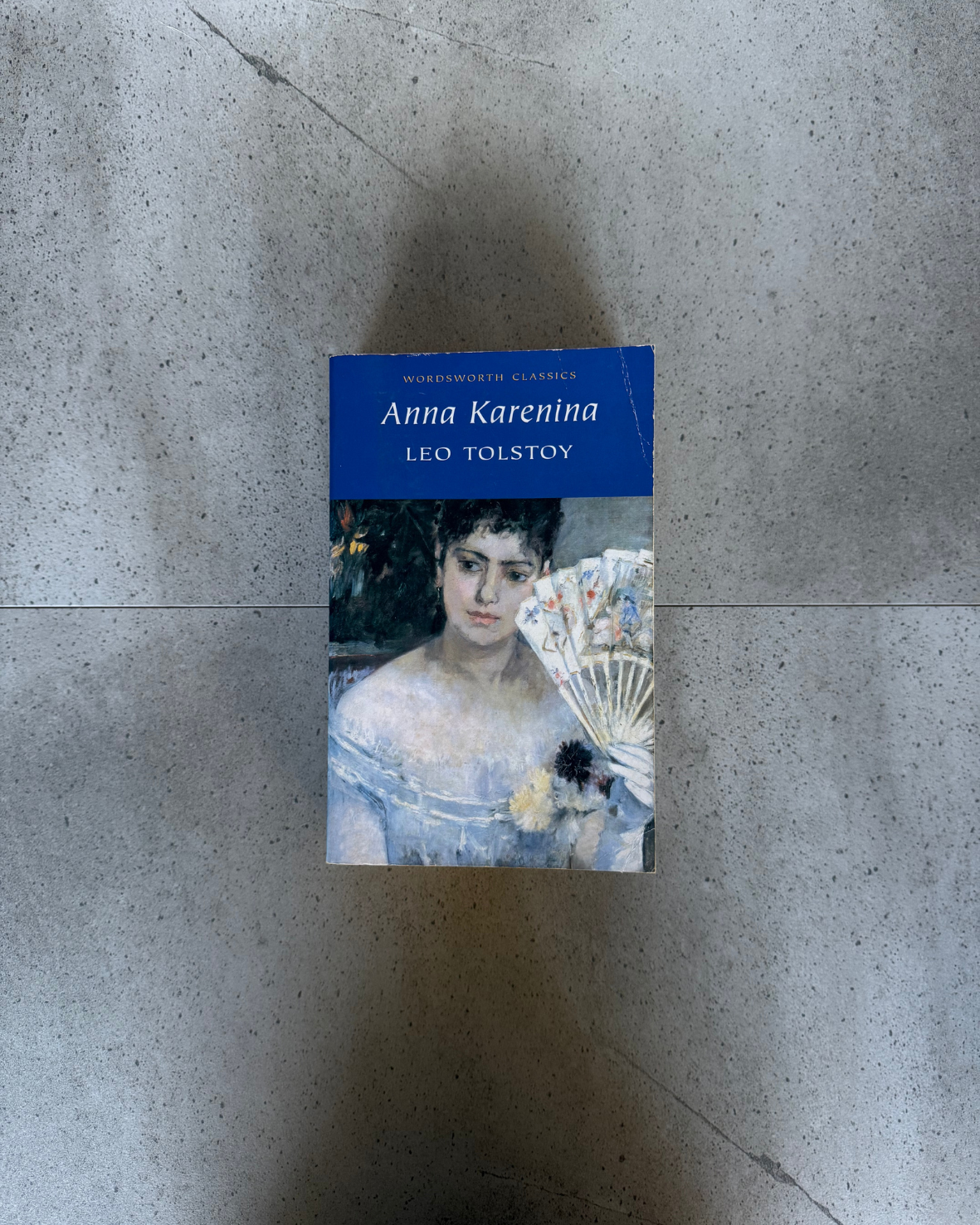 Anna Karenina - Leo Tolstoy