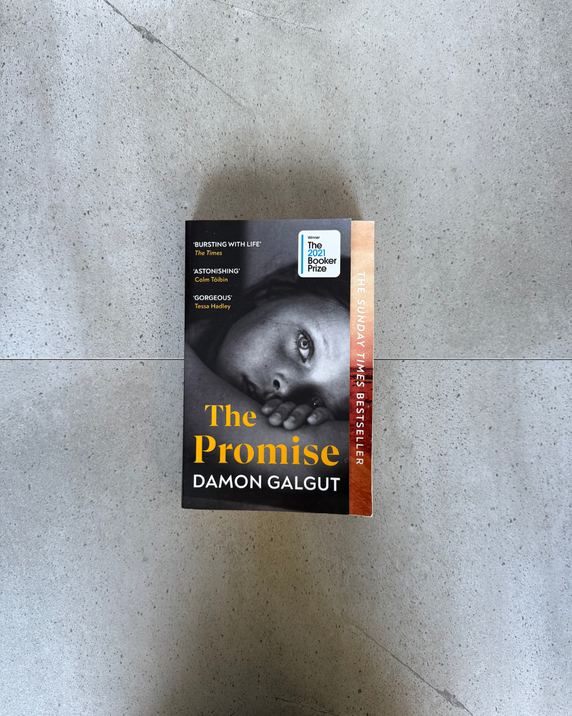 The Promise - Damon Galgut