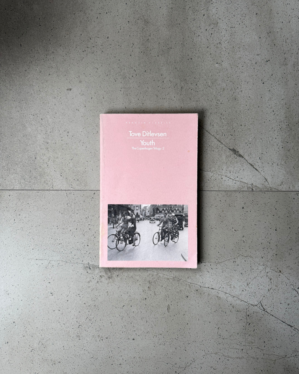 Youth - Tove Ditlevsen (The Copenhagen Trilogy: 2)