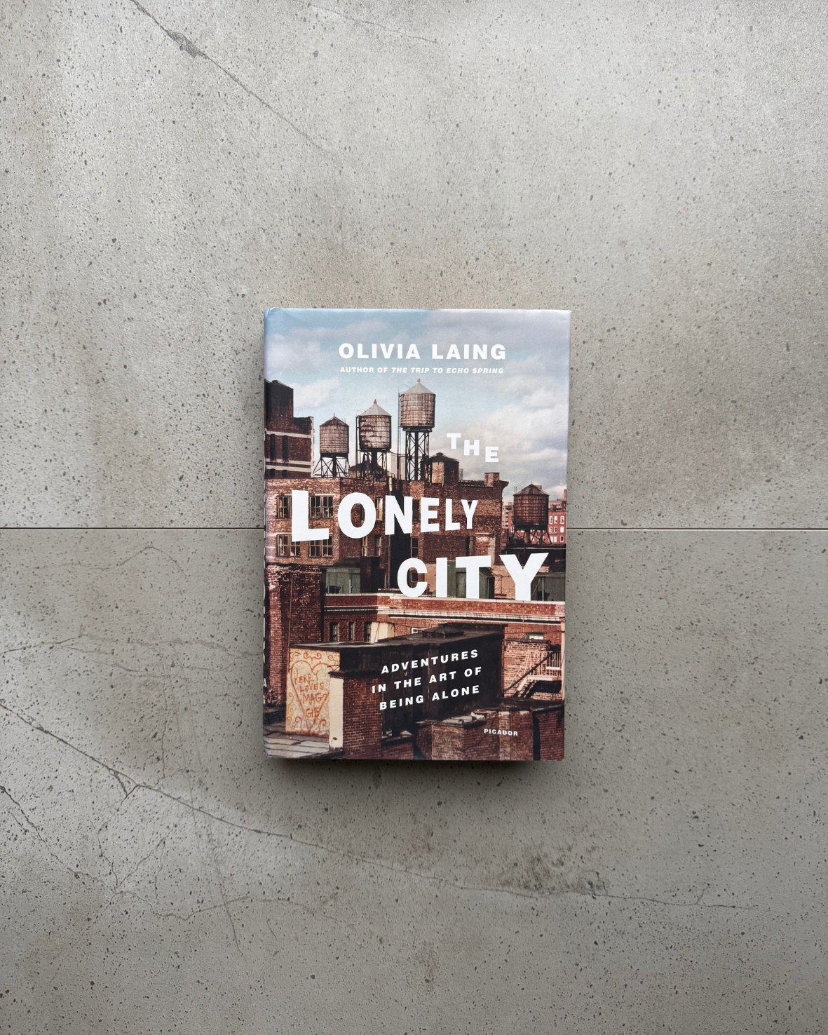 The Lonely City/ Adventures In The Art of Being Alone - Olivia Laing