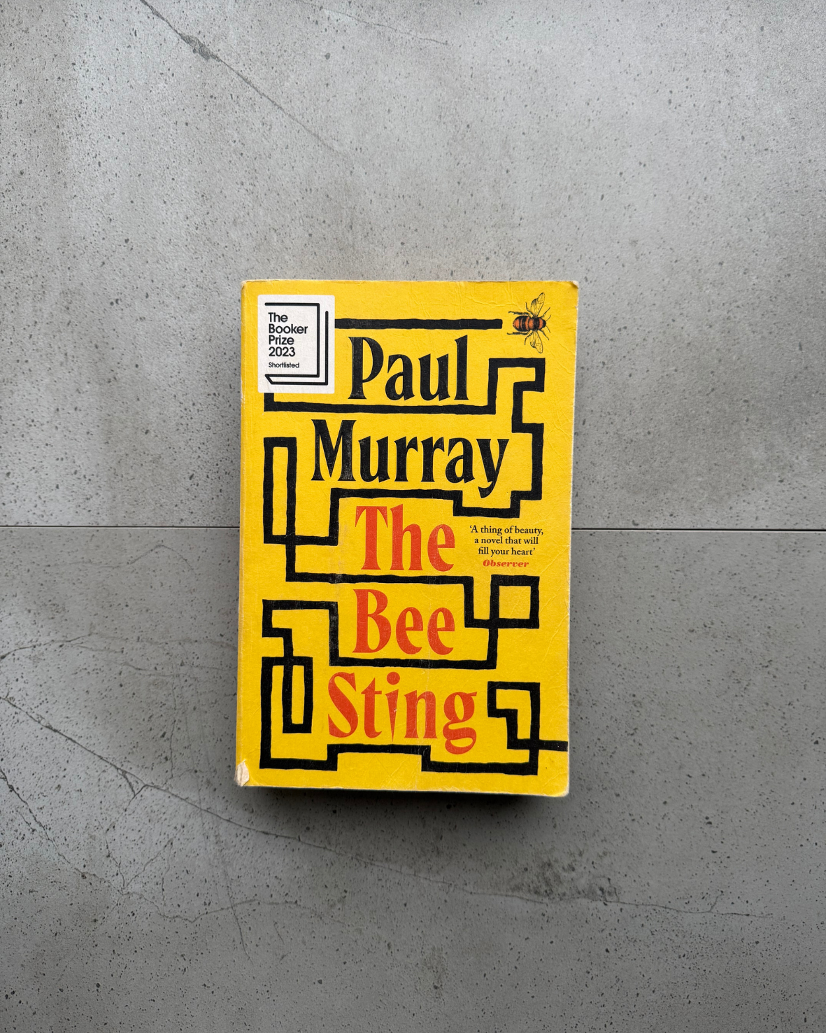 The Bee Sting - Paul Murray