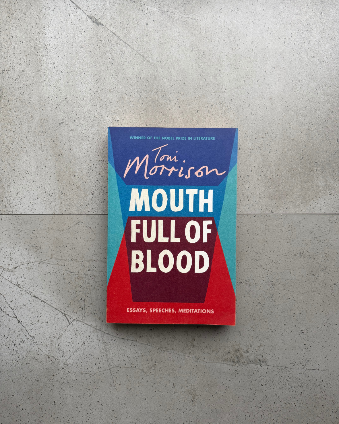 Mouth Full of Blood - Toni Morrison
