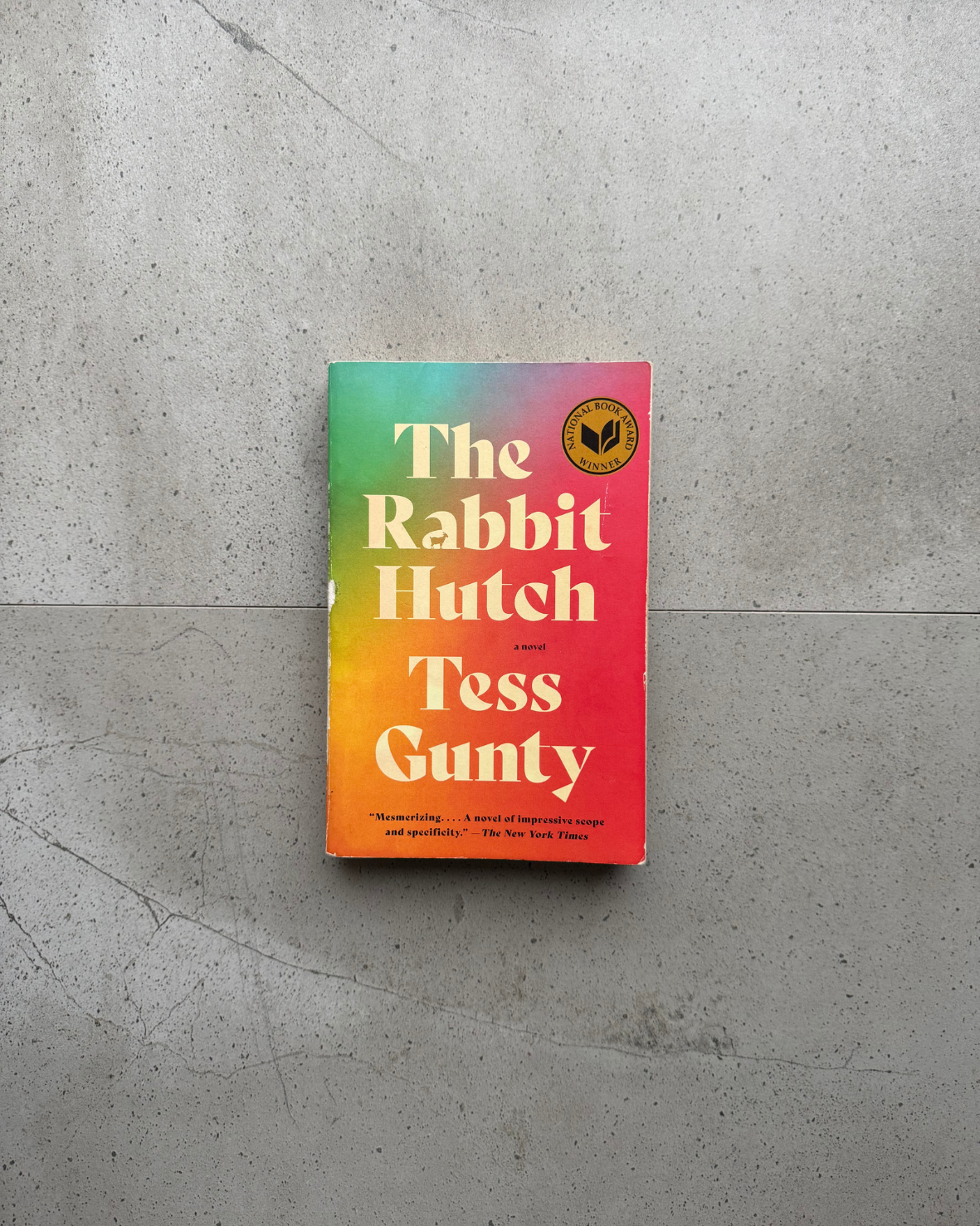 The Rabbit Hutch - Tess Gunty