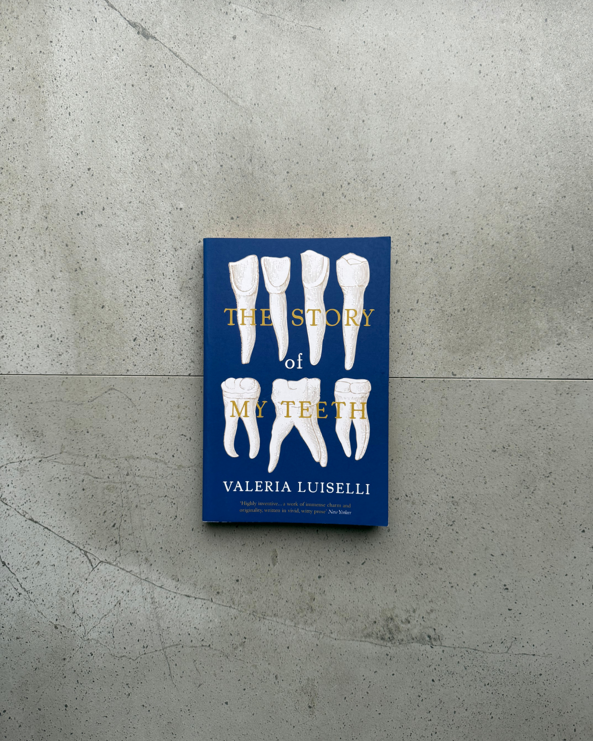 The Story of My Teeth - Valeria Luiselli