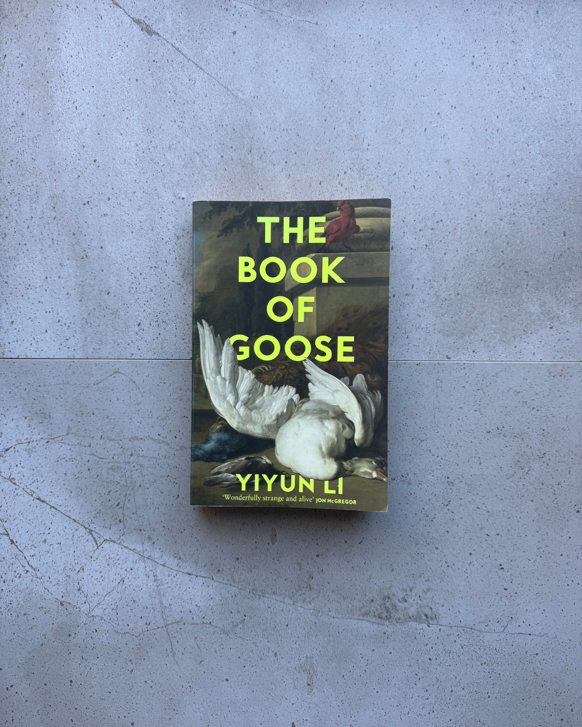 The Book Of Goose - Yiyun Li