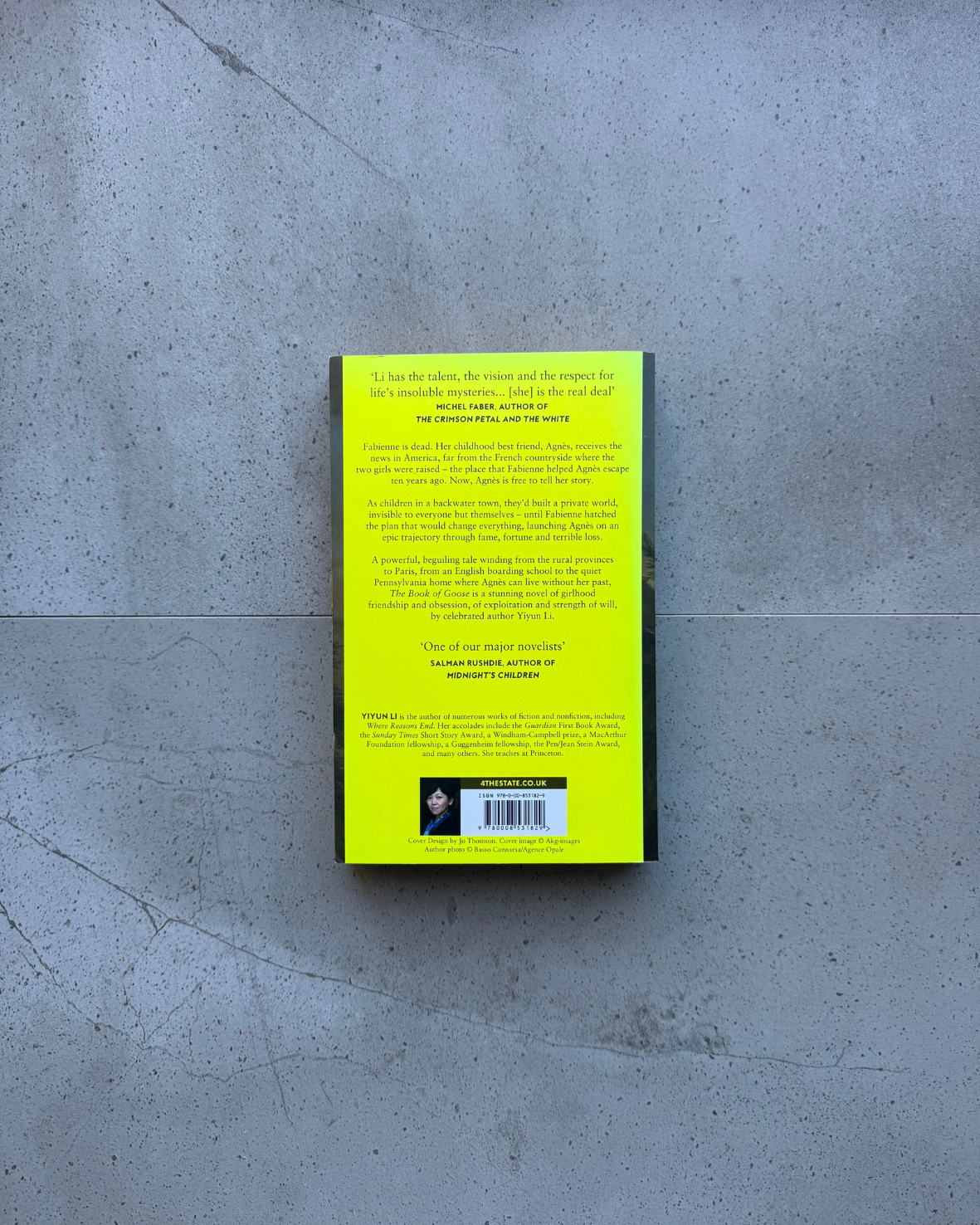 The Book Of Goose - Yiyun Li