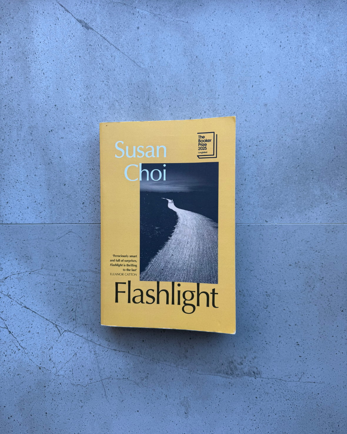 Flashlight - Susan Choi
