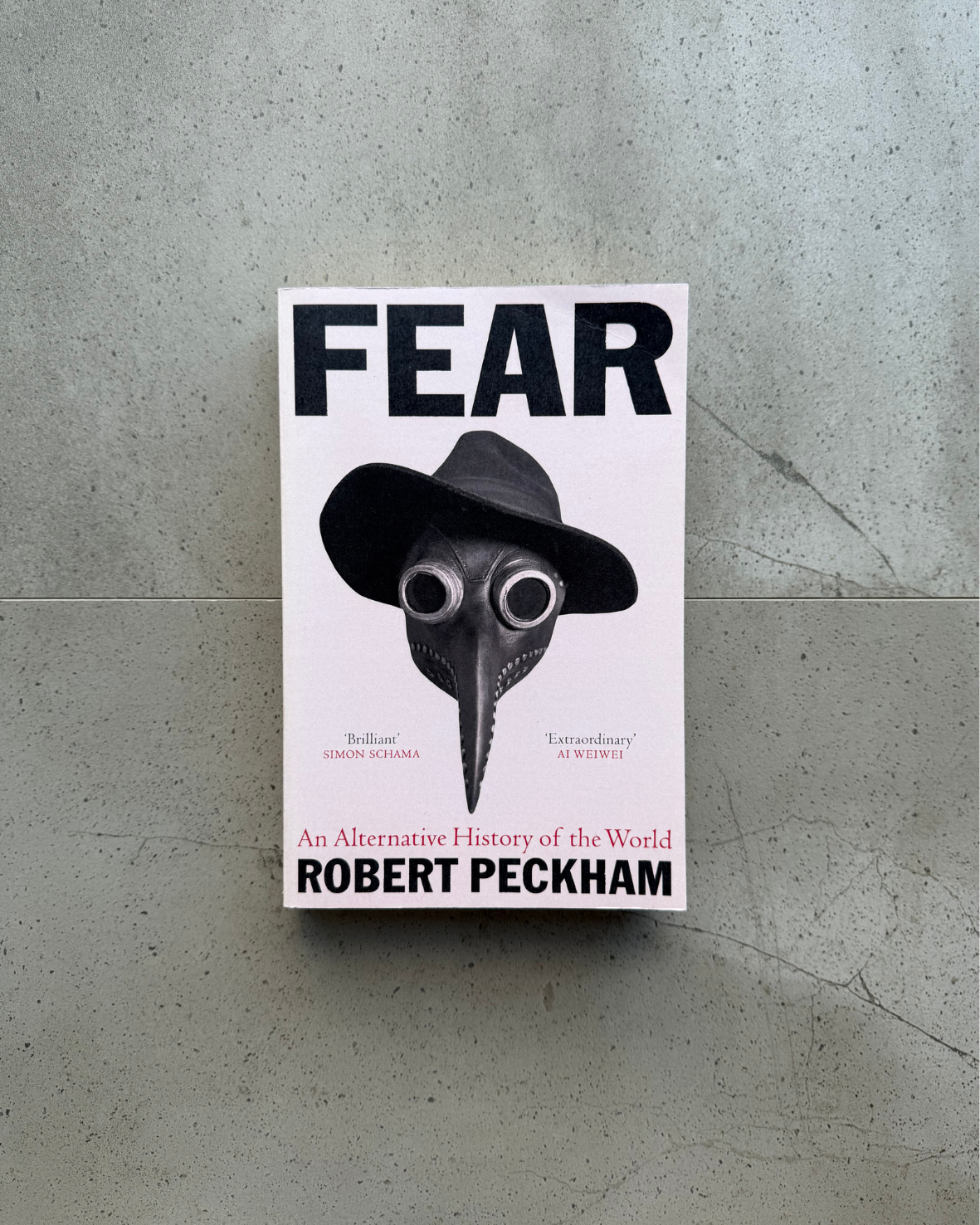 Fear: An Alternative History of the World - Robert Peckham