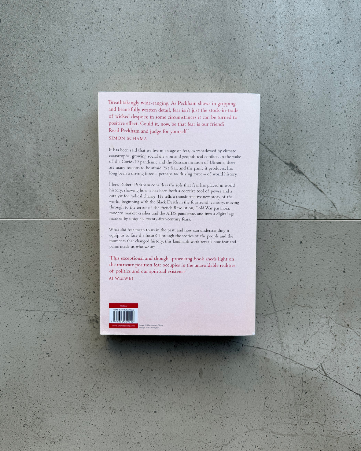 Fear: An Alternative History of the World - Robert Peckham