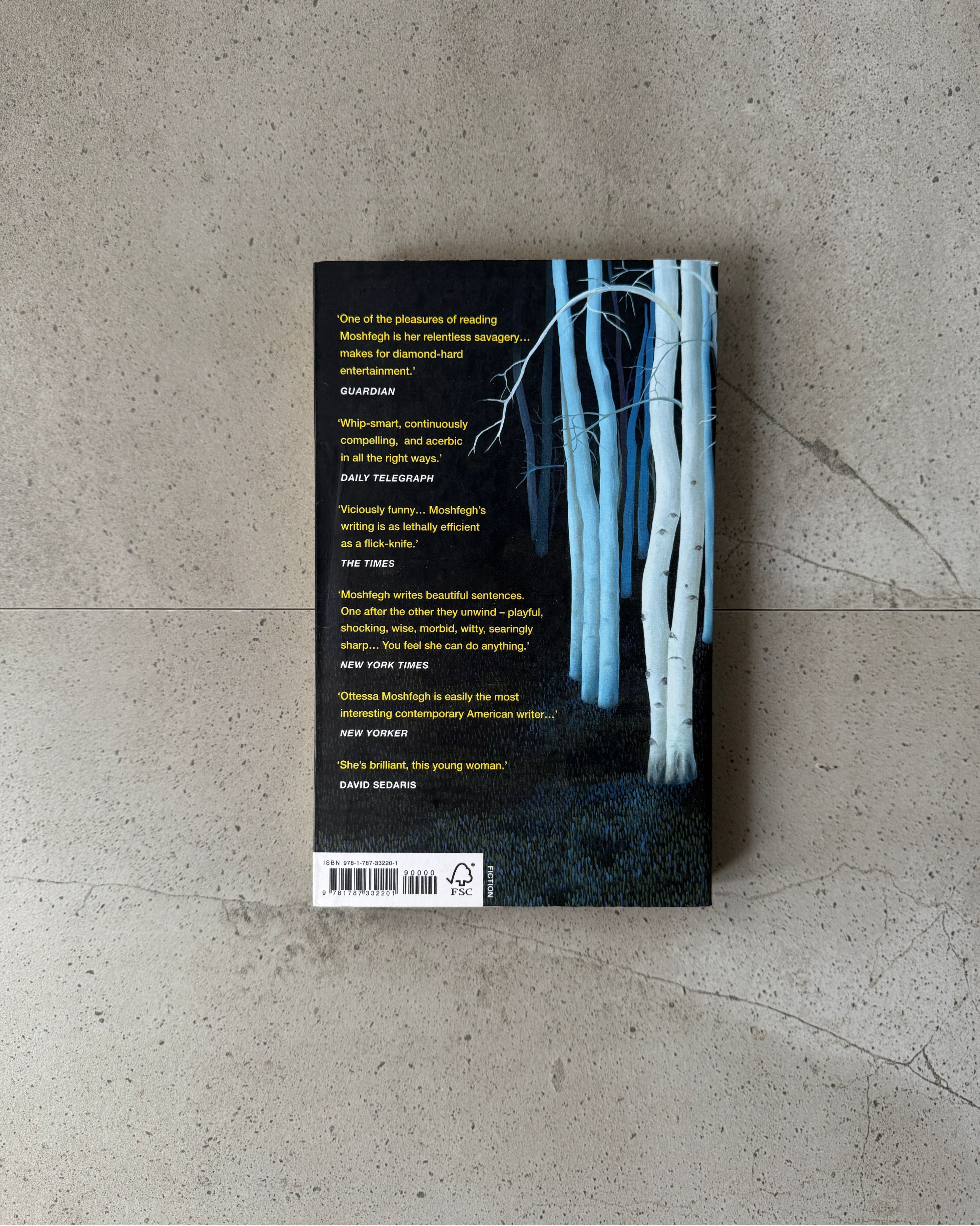 Death In Her Hands - Ottessa Moshfegh