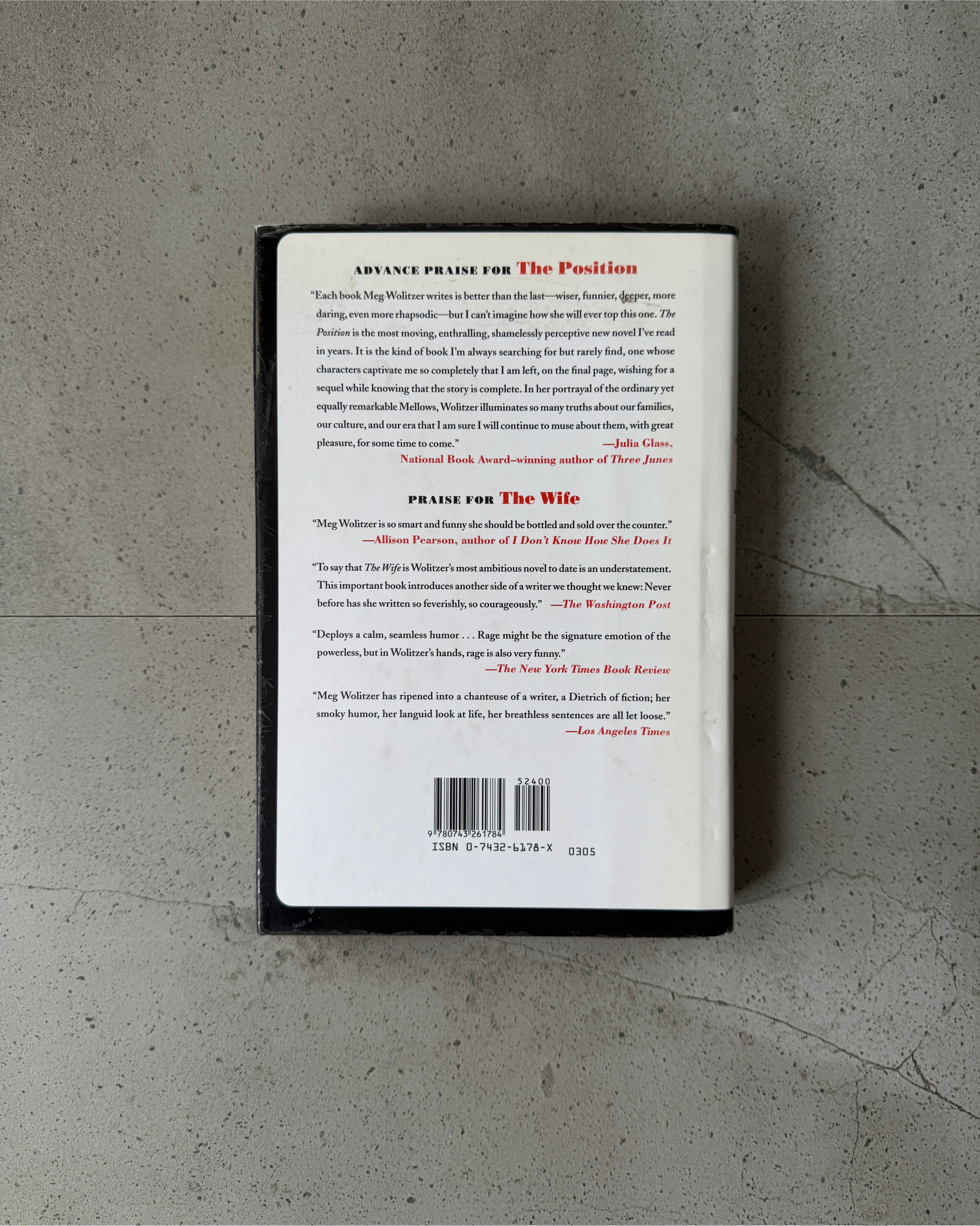 The Position - Meg Wolitzer