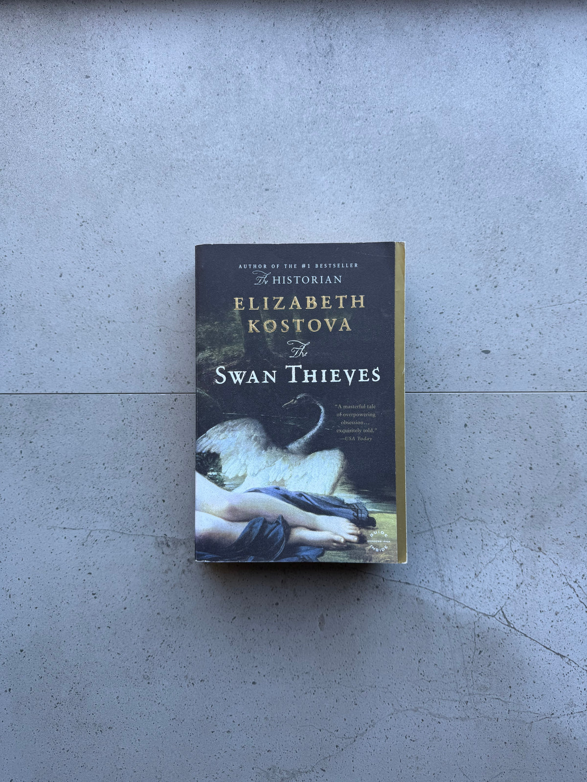 The Swan Thieves - Elizabeth Kostova